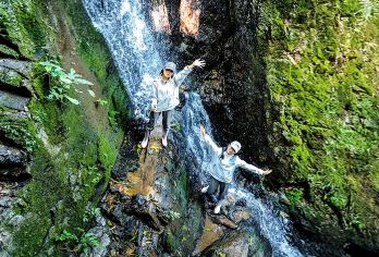 西双版纳基诺山雨林徒步纯玩一日游【独树成林/雨林瀑布/傣迪】【专业资质认证：基诺山示范性&监事长单位，专业向导持证上岗，为您提供优质的游玩体验】