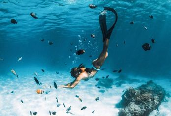 苏梅岛：涛岛+南园岛一日游快艇出海浮潜 酒店接送含午餐【快艇畅游潜水胜地涛岛南园岛，轻松打卡超美海景胜地】