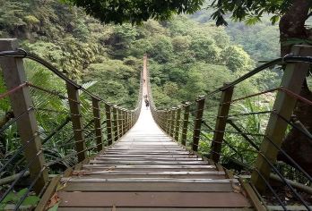 山林秘境妖怪村全覽溪頭之旅【竹山天梯、軟鞍八卦茶園、鳳凰谷鳥園生態園區、松林町妖怪村、溪頭森林遊樂區】
