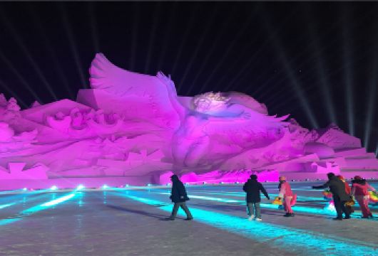 太阳岛雪博会+哈工大航天馆+圣索菲亚教堂一日游【私家小团】【私密出行-2-6人mini团-尽享轻奢体验，用对待朋友的方式带你玩遍冰雪之都】