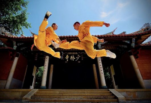 少林寺一日游【武术表演/市区内可接/纯玩无购物】【[品质保障]优秀持证导游全程陪同，深度讲解，景区内自由畅玩，无任何形式购物。】