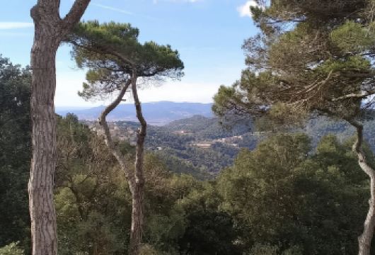 巴塞罗那锡切斯周边小镇定制游【用车10小时+行程自由】【短暂逃离都市，融合罗马遗迹、中世纪修道院与海岸地质奇观】