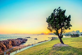 青岛市区一日游【上门接送，纯玩无购，网红打卡，亲子赶海】【专车专享，随走随停，行程自由听你安排】