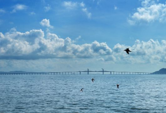 汕头南澳岛一日游【出发时间自由 上门接送景点任选 包车定制】【费用说明清洗明确。真正坐到任意景点自由选择，当地胶己人带玩，线路自定，你的行程你做主】