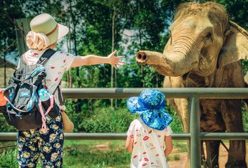 西双版纳野象谷+曼掌村一日游：一单一团-出发自由-司兼导讲解【[深度体验]走进傣族村落，享用傣族民族私房菜！】