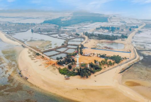 徐闻南极村一日游【菠萝的海+南极村+艺术家的部落一日游】【菠萝的海】