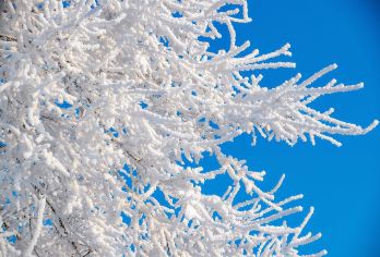 吉林雾凇岛·陨石博物馆·京剧出科文化之旅【冬季奇观|小包团】【一日尽览自然奇观与人文瑰宝】