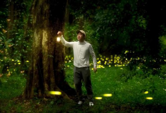 【一单一车】西双版纳傣族园+植物园日游+夜游萤火虫一日游【[费用包含]往返独立用车+傣族园门票+植物园门票+夜游拼团15人讲解(不含电瓶车，不含白天导游讲解)】