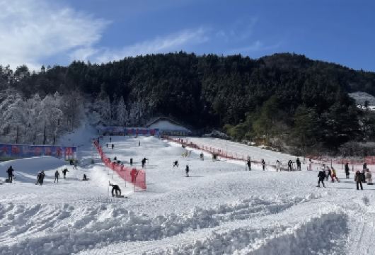 安庆市区包车往返｜岳西大别山滑雪乐园+天悦湾温泉一日包车游【[一对一包车]专车上门接送，车辆费用全含】