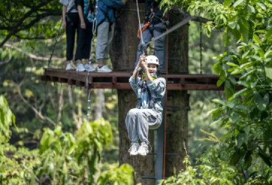 西双版纳象出没雨林营地丛林飞跃半日游【市区范围（告庄活泼水广场）上门接送】