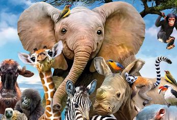 北京野生动物园私家团【含小火车猛兽区笼车/上门接送时间自由】【[亲子时光]大手牵小手一起亲近大自然，尽享塞外 的秀美风光！】