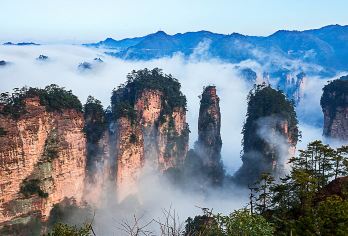 张家界国家森林公园+张家界《魅力湘西》演出一日游【一价全含】【[品质专线]全新升级深度游，高分好评，打卡核心网红景点——袁家界、百龙电梯、十里画廊、天子山。】