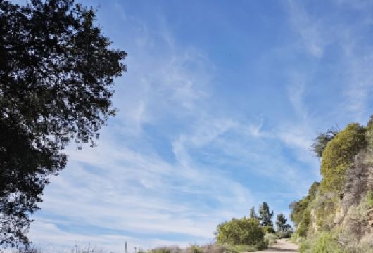 美国洛杉矶‌‌格里菲斯公园+加州迪士尼乐【中文专车包车出行】【中文专车出行，景点灵活调整，打卡经典，游玩自己定义，无需等待，专属贴心服务，尽享惬意旅程】