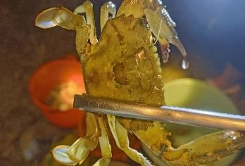 海南三亚小东海赶海体验【赶海2小时丨领队全程服务丨赶海工具】【[亲海体验]资深向导带玩，体验感满满】