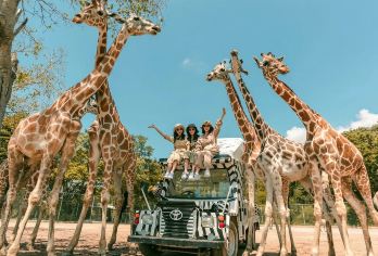 北碧府野生动物园一日游【咨询客服预约长颈鹿互动】【本产品纯玩，不含餐不购物，不包含在套餐里的项目需自费。行程配备当地泰语司机+线上中文客服，行程无忧。】