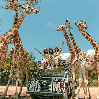 北碧府野生动物园一日游【咨询客服预约长颈鹿互动】