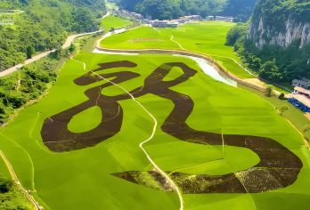 贵州贵阳：黄果树瀑布+龙宫 | 包车定制一日游#【车接车送，深度体验热门景点，行程景点可调】