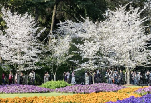 【上海定制包车/导游】共青森林公园+鲁迅公园+多伦路+甜爱路【全程私人专车服务，不拼团，行程灵活可调整。】