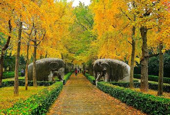 亲子说｜明孝陵+梅花山亲子专场讲解【文史大咖+私享耳麦】【亲听：亲子说专业老师在明孝陵实景中，将朱元璋的奋斗史诗与明朝那些事，深入浅出的讲给您听】