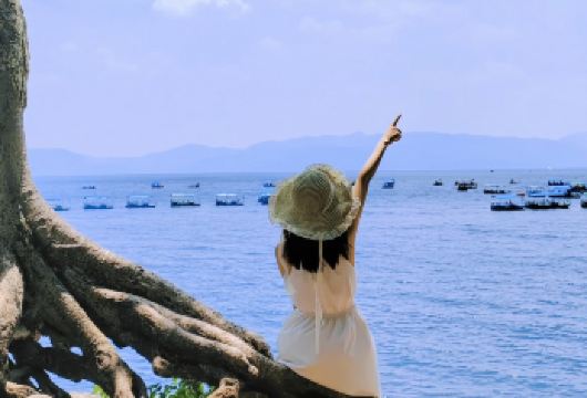 澄江化石博物馆+抚仙湖+明星鱼洞+禄充风景区笔架山包车一日游【[实力保障]昆明一日游集团品质严选线路，拥有自己的车队、司机，全程品质把控，专业一手资源】