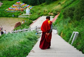 张掖马蹄石窟群半日游【2-6人小团+市区酒店免费接送】【感受仿佛天上的三十三天在马蹄寺开凿了人间的三十三天】