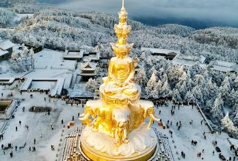 峨眉山一日游【登金顶+半山=全景深度漫游+三环内专车接早】【[畅游精华景点 ]峨眉山金顶祈福.漫步云端丨超长时间.深度游玩】