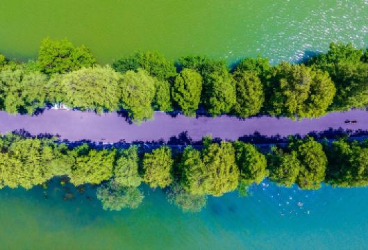 【懒睡不早起】古琴台+古德寺+黎黄陂路+山海关+可绿道骑行【[行程特色]网红必打卡 7座商务独立用车】