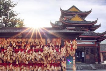 舟山普陀山风景区一日游 全程土著导游解【朱家尖码头出发】【[佛国普陀]精心策划行程，全程当地土著，土著导游陪同讲解，许愿，还愿必到景点】