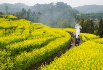 四川乐山嘉阳小火车+嘉阳国家矿山公园一日游【包车游】【三环内上门接送，无需拼车等人，时间灵活安排。】