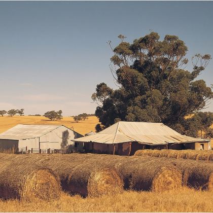 珀斯波浪岩一日游【世界八大奇观+中文导游+市区接送+含午餐】