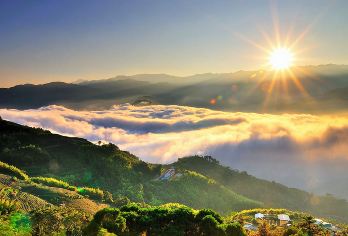 阿里山国家森林游乐区+姊妹潭+受镇宫+巨木群+小火车一日游【台中出发/拼团游/1人起订/私家接送，节省交通时间，上山之路更舒适，时间自由，性价比高】