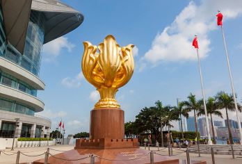 香港一日游+太平山顶+星光大道+天星小轮+金紫荆广场【[多套餐可选]可选45/20人中小团，总有一个适合您】