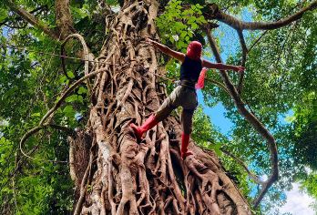 西双版纳基诺山巴朵特龙谷雨林徒步一日游 项目全含 70%溯溪【[精品纯玩]纯玩无购物，无任何隐性消费，嗨游热带雨林；】