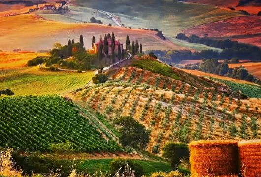 意大利佛罗伦萨托斯卡纳包车一日游【1、中文包车，上门接送，全程坐车畅玩一整天】