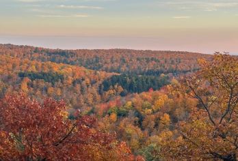 加拿大渥太华艺术科学与城市花园一日游【专属包车省心游：全程专车服务，可定制旅程，自由掌控游览节奏享受舒适惬意的深度之旅。】