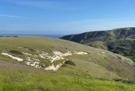 美国洛杉矶盖蒂中心+ 好莱坞环球影城【中文专车包车出行】【中文专车出行，景点灵活调整，打卡经典，游玩自己定义，无需等待，专属贴心服务，尽享惬意旅程】