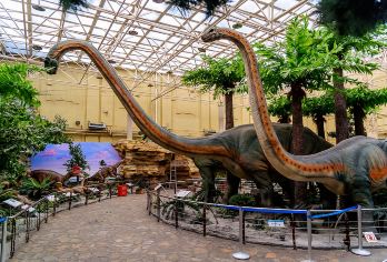 国家自然博物馆一日游【探索自然奥秘 大咖讲述者趣味科普研学】【自然科普发烧友深入浅出，脉络清晰，活动丰富；从孩子角度讲博物馆，让课本的知识鲜活起来】