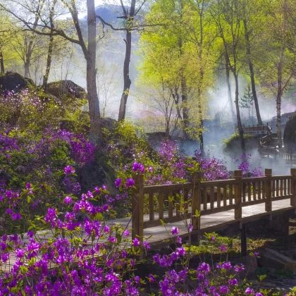 【本溪+老边沟山水间+赏花休闲+专车接送+纯玩之旅+一日游】