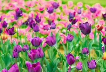 广州从化天人山水大地艺术园+罗洞工匠小镇+溪头旅游村一日游【[私家旅行]一单一团，不拼客，畅享专属旅行！5座/7座车上门接送，专职司机护航！】