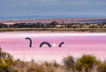 圣诞/元旦可订阿德莱德 奔富玛吉尔酒庄品酒+粉红湖中文一日游【奔富玛吉尔酒庄/粉红湖-澎湃湖（Lake Bumbunga）/回音壁/市区酒店/车站接送】