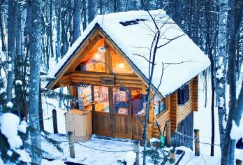 北海道|旭川动物园/富田农场&四季彩之丘&瀑布&青池一日游【札幌包车出发：省去交通烦恼，一日轻松畅游美瑛/富良野/旭川人气景点。】