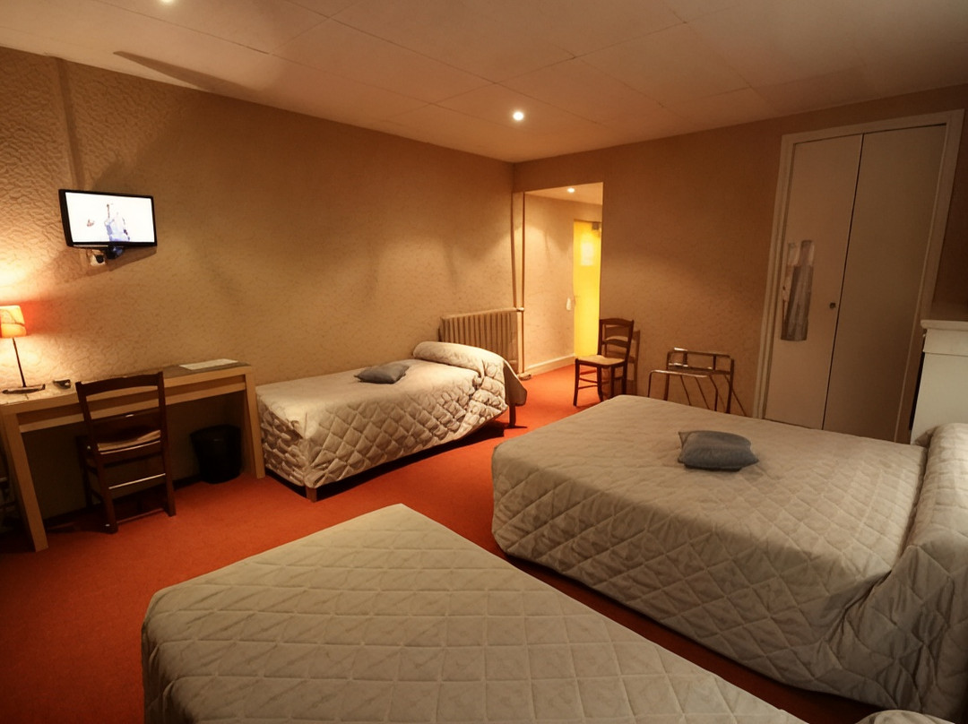 Chaneins酒店住宿-Logis Hôtel l'Ange Couronné