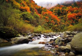 广元唐家河风景区+青溪古城一日游【2-6人包车，尽享纯玩】【纯玩包车 无购物 用车一价全含。】