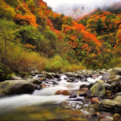 广元唐家河风景区+青溪古城一日游【2-6人包车，尽享纯玩】