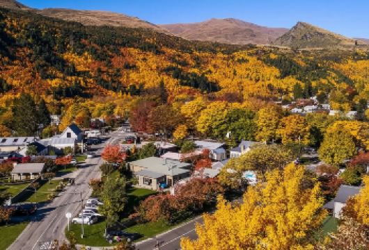 新西兰皇后镇奥拉基/库克山国家公园一日游【包车小团】【醉美小镇箭镇 散发着维多利亚的气息】