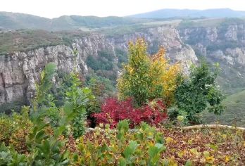 本溪大溪谷+冒险公园+爬山+戏水+休闲一日游【本溪大峡谷以壮丽的峡谷地貌和丰富的娱乐项目而闻名】