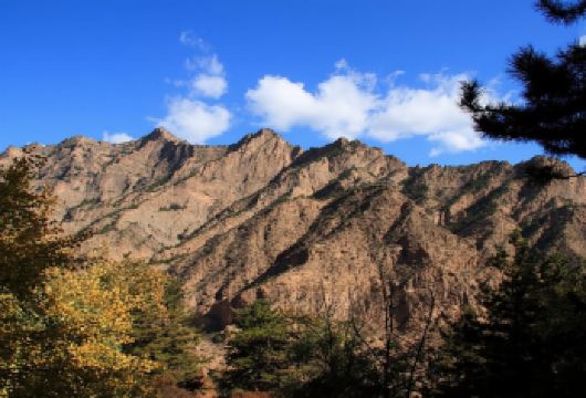 【28人左右团 】山西大同悬空寺登临+恒山+应县木塔一日游【[郑重承诺]全程不增加景点、不进购物店、真纯玩跟团游，恒山3小时深度游:】