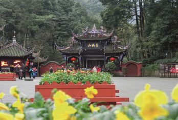 成都出发：都江堰熊猫谷+青城山一日游【私家团】【私家小团丨小众玩法丨纯玩无购丨独立包车丨行程可调丨随停随走丨时间自由丨上门接送】