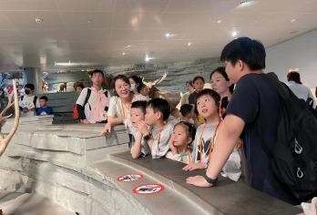 小朋大友|上海自然博物馆|10人品质小团含入园2h耳麦【[精选讲师]精心挑选讲解员，经验丰富，专业生动，经验足】