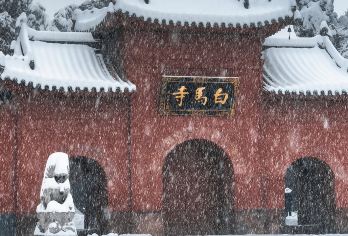 【金牌说】白马寺讲解 2小时讲解 大咖讲师领讲8人小团含耳麦【[金牌导游讲师团]他们博古通今，幽默睿智，善于挖掘文物背后的故事，用有趣的方式还原历史真相；】